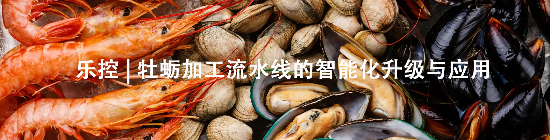 牡蛎加工生产线