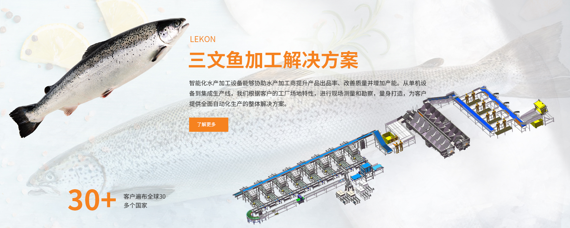 lekon salmon processing solutions