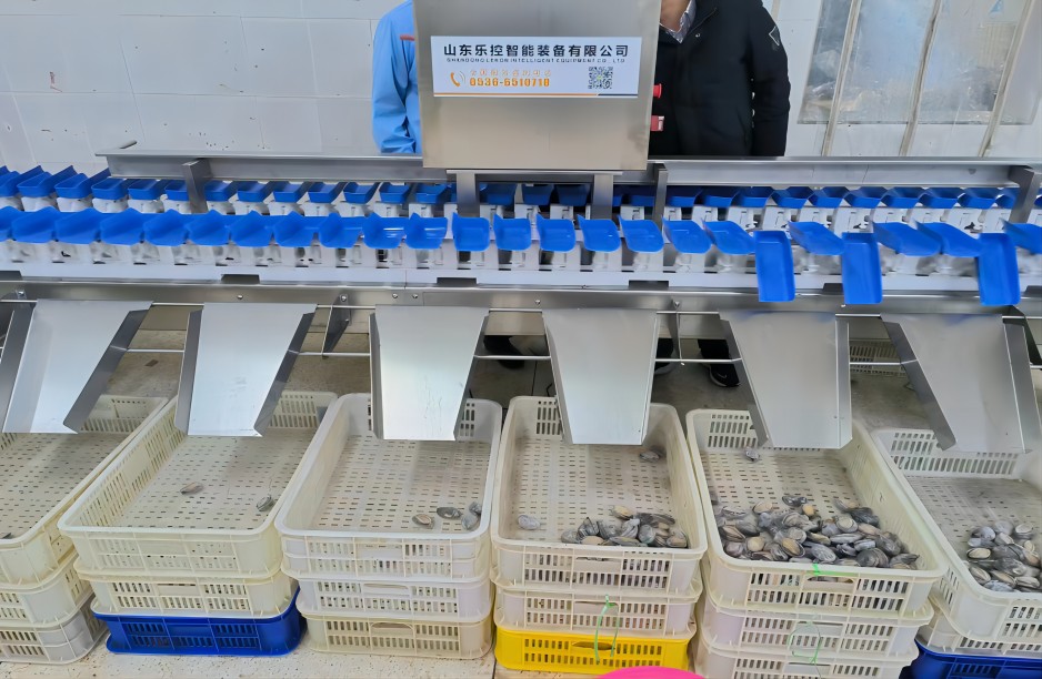 牡蛎加工生产线