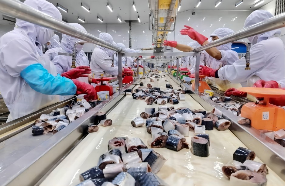 鱼罐头加工生产线