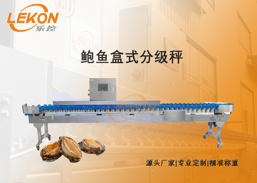 乐控鲍鱼重量分选机：让每一颗鲍鱼的分选都精准无误！