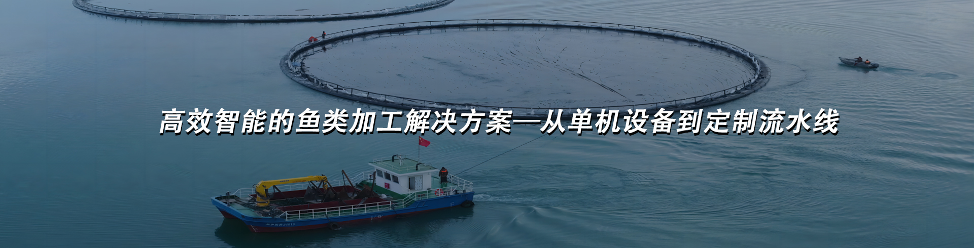 鱼类加工生产线